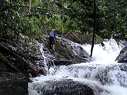 Southeast Asia mountain climbing