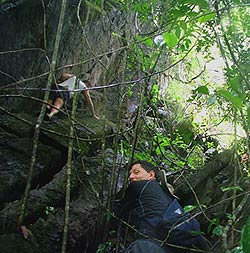 rock climbing in Thailand