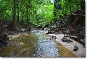 Phuket creek hiking