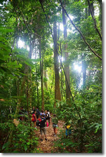Trekking in Khao Sok National Park.